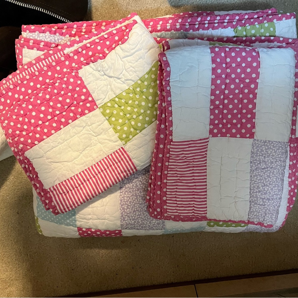 Pottery Barn Kids discontinued pattern; Twin Quilt + 2 Shams.